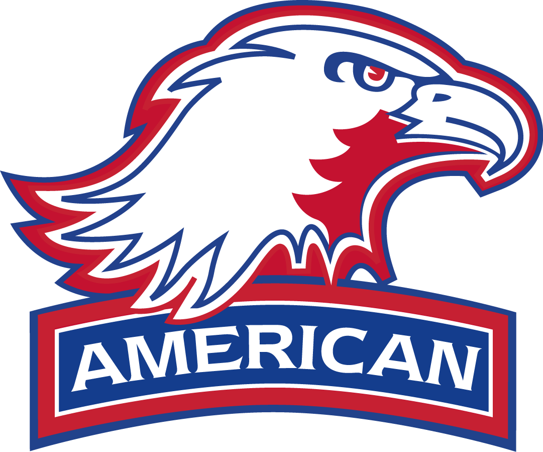American Eagles 2006-2009 Secondary Logo iron on transfers for clothing